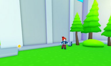 What is Pet Simulator X on Roblox?